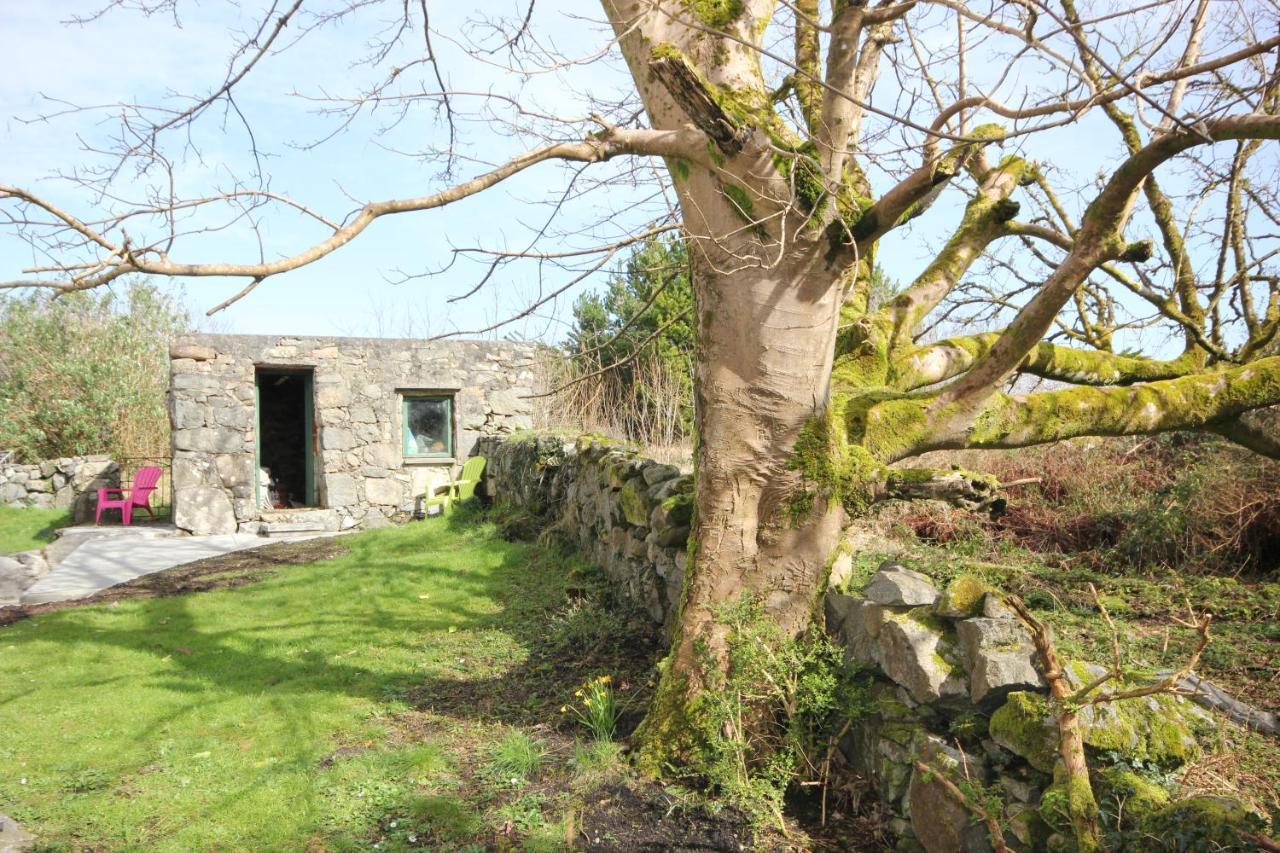 Atlantic Way Cottage Γκάλγουεϊ Εξωτερικό φωτογραφία